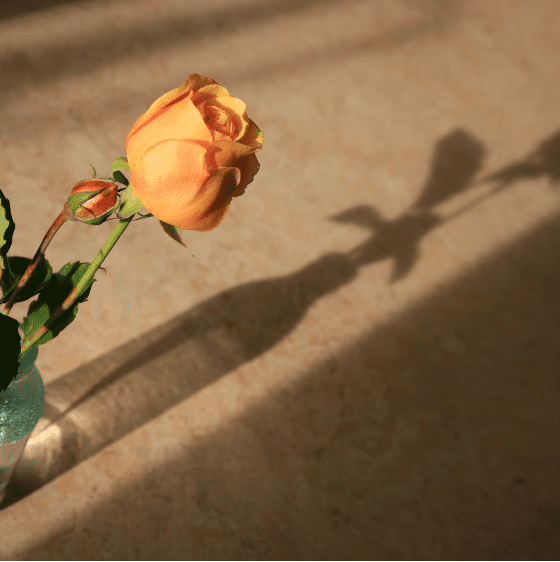 10 Tips For Better Lighting In Video Production! 8 Screenshot 20