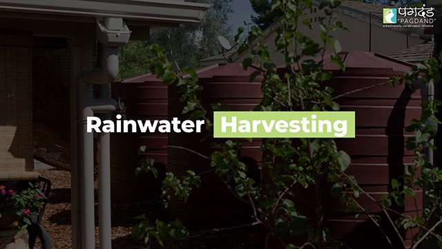 Portfolio 55 Pagdand