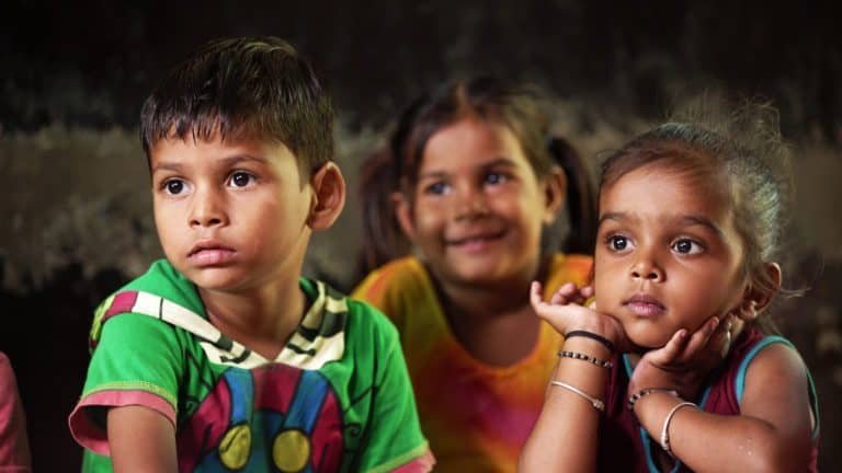 Portfolio 12 Huntsman