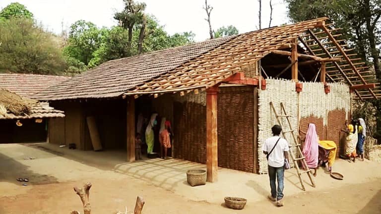 Portfolio 19 Zila Zili Aani Fuldani