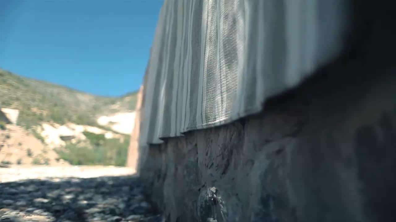 Perennials 5 Final Perennials 54 1