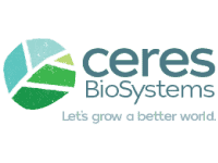 Social Impact Video Production 10 z26 3 1